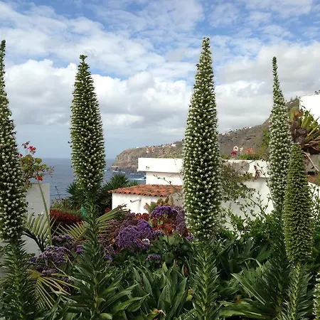 El Rincon Lägenhet