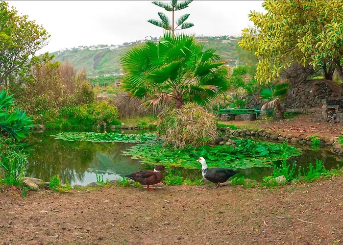 Appartement El Rincon La Orotava
