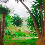 El Rincon شقة *