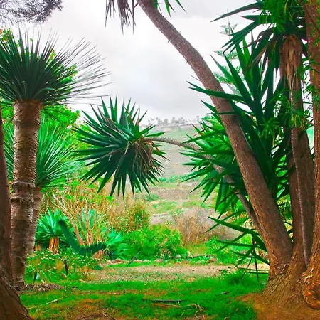 El Rincon شقة *