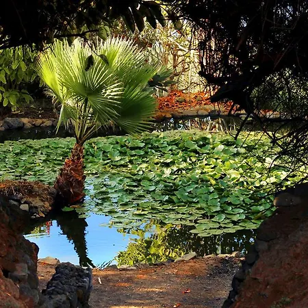 El Rincón Apartamento La Orotava
