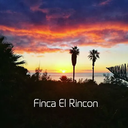 El Rincón * La Orotava