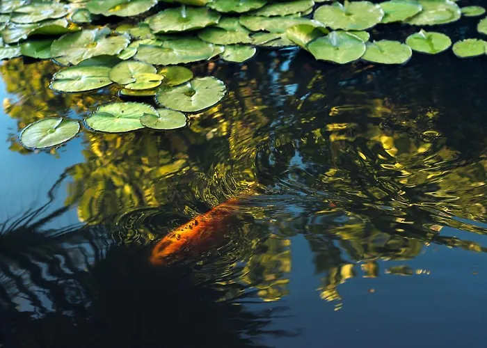 El Rincón Apartamento